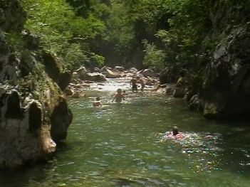 sampling of R. graeca in canyon of river Rakitnica